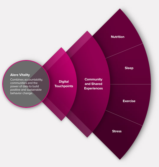 data visualization infographic 3D Nested Relationship